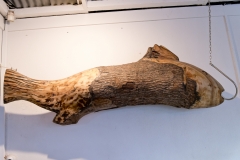 16a_9595